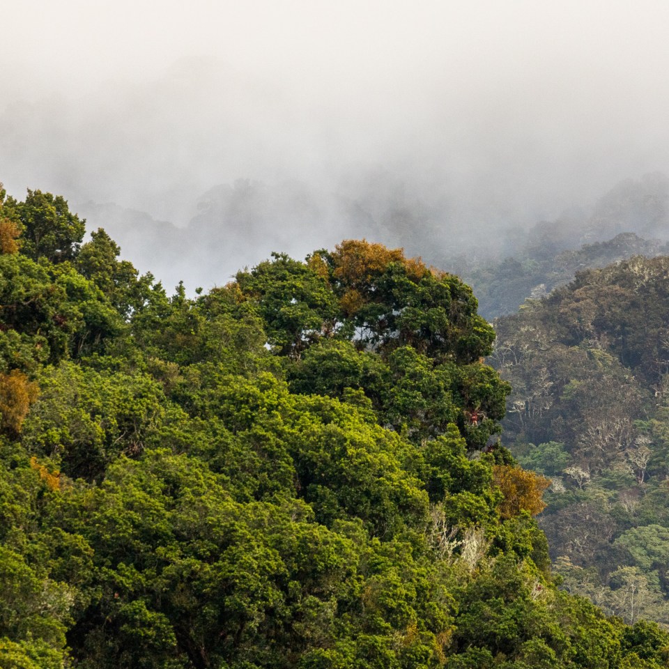 Mietwagentour Costa Rica